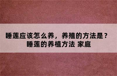 睡莲应该怎么养，养殖的方法是？ 睡莲的养植方法 家庭